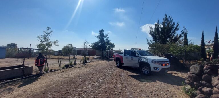 TEMPORADA INVERNAL (1)