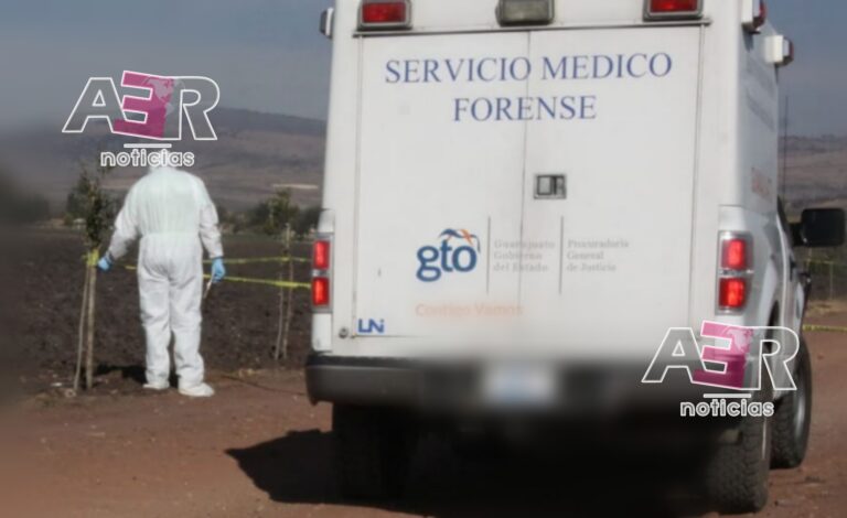 Picsart_23-01-18_09-12-34-415