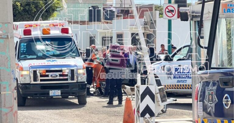 Picsart_23-01-20_15-44-35-888