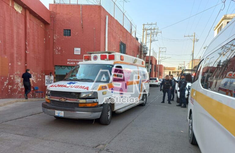 Picsart_23-02-01_19-03-19-495