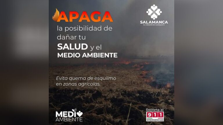 Picsart_23-02-02_10-50-15-296