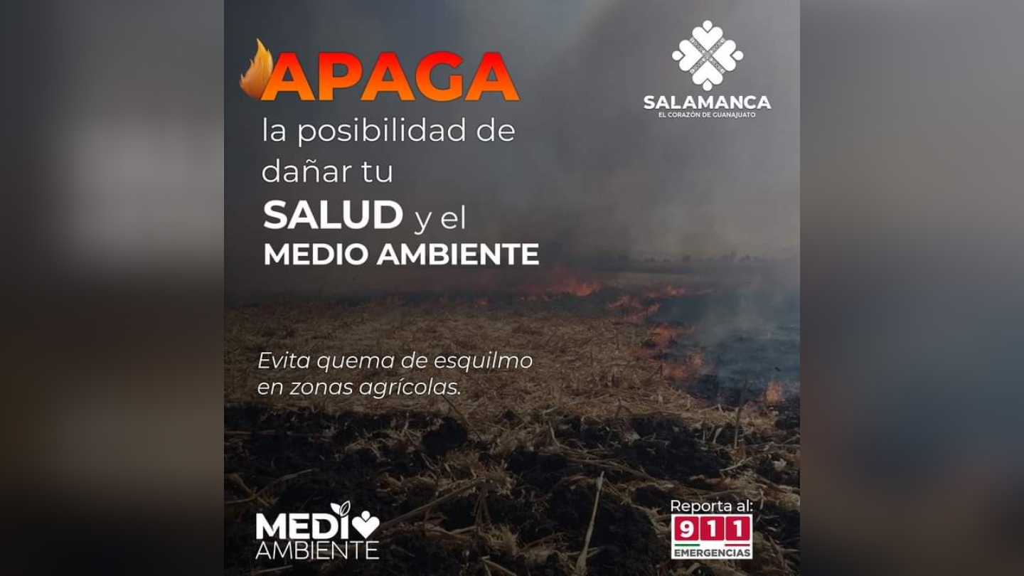 Picsart_23-02-02_10-50-15-296