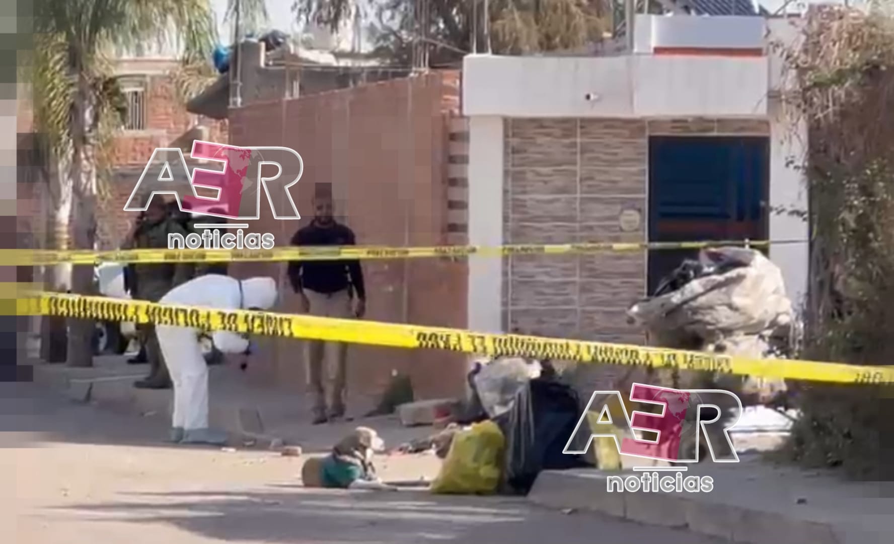 Picsart_23-03-01_10-44-25-007