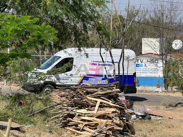 Picsart_23-03-15_11-31-58-718