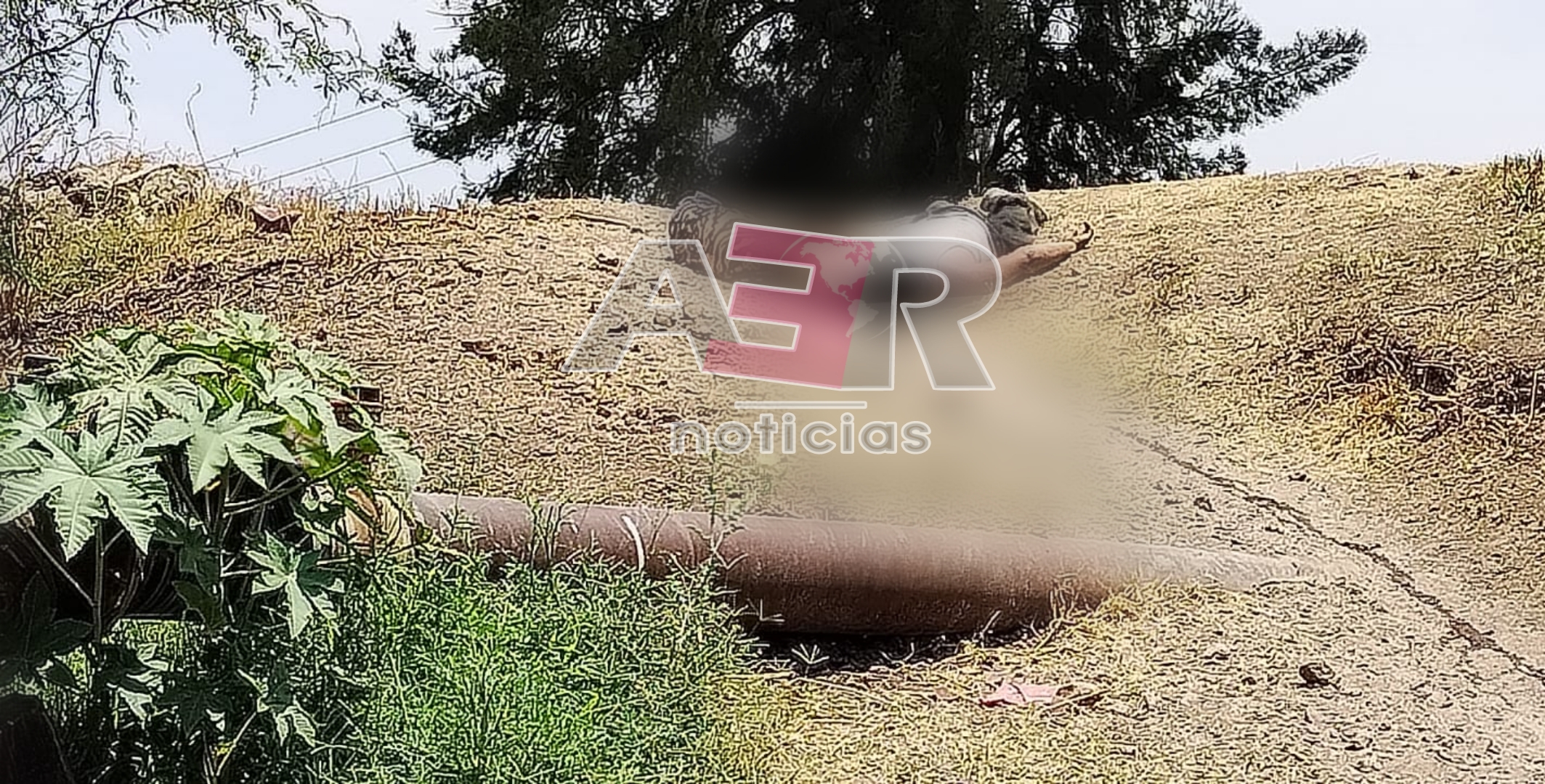 Picsart_23-04-23_15-04-47-263