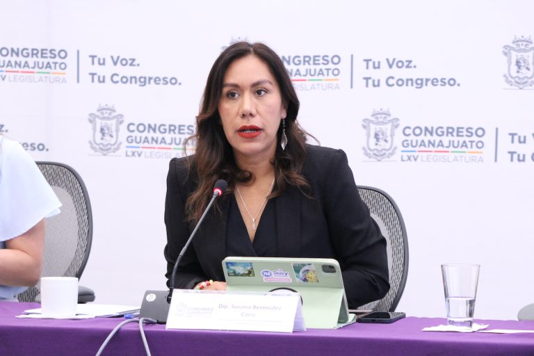 Dip Susana Bermúdez (1)