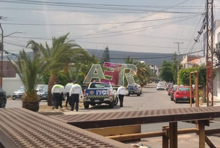 Picsart_23-05-08_17-19-13-571