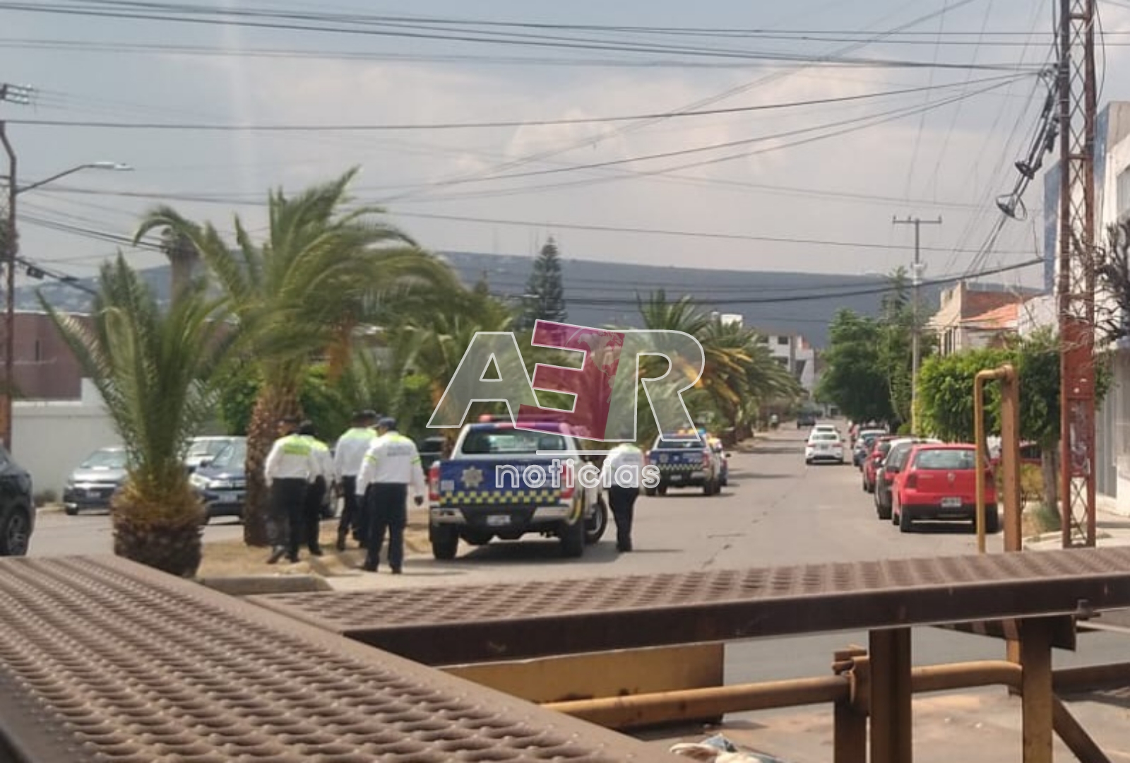 Picsart_23-05-08_17-19-13-571