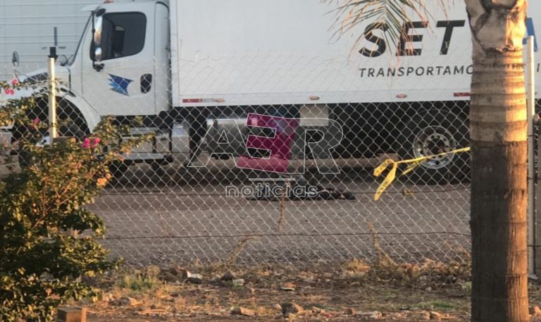 Picsart_23-05-15_11-03-13-953