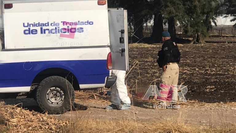 Picsart_23-05-24_11-03-12-032