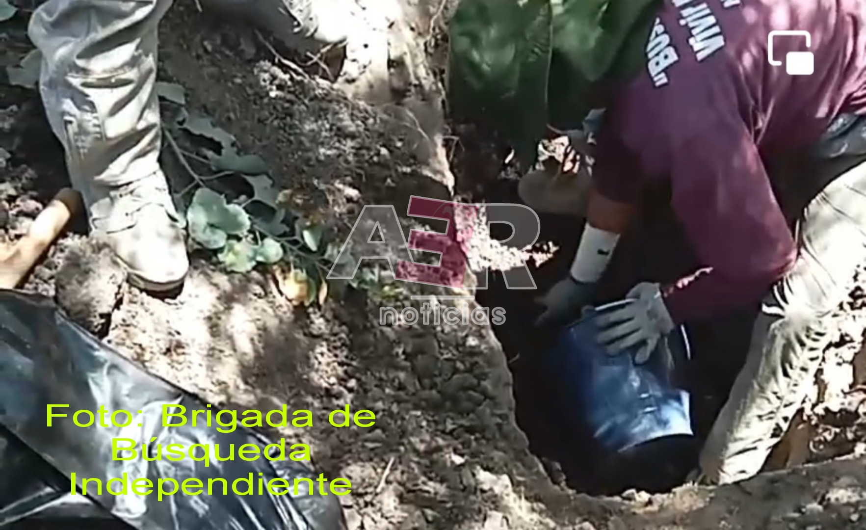 Picsart_23-06-02_15-46-01-966