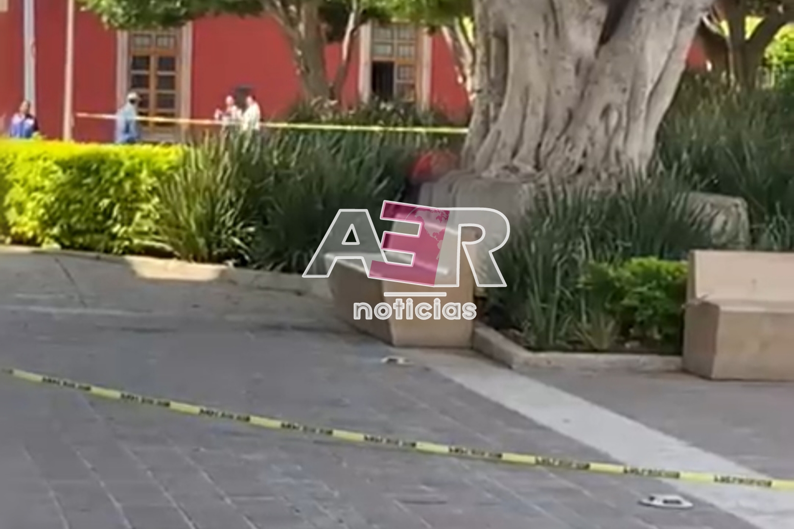 Picsart_23-06-07_11-15-56-469