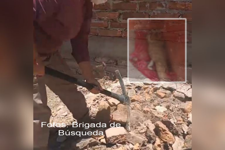 Picsart_23-06-09_10-19-15-736