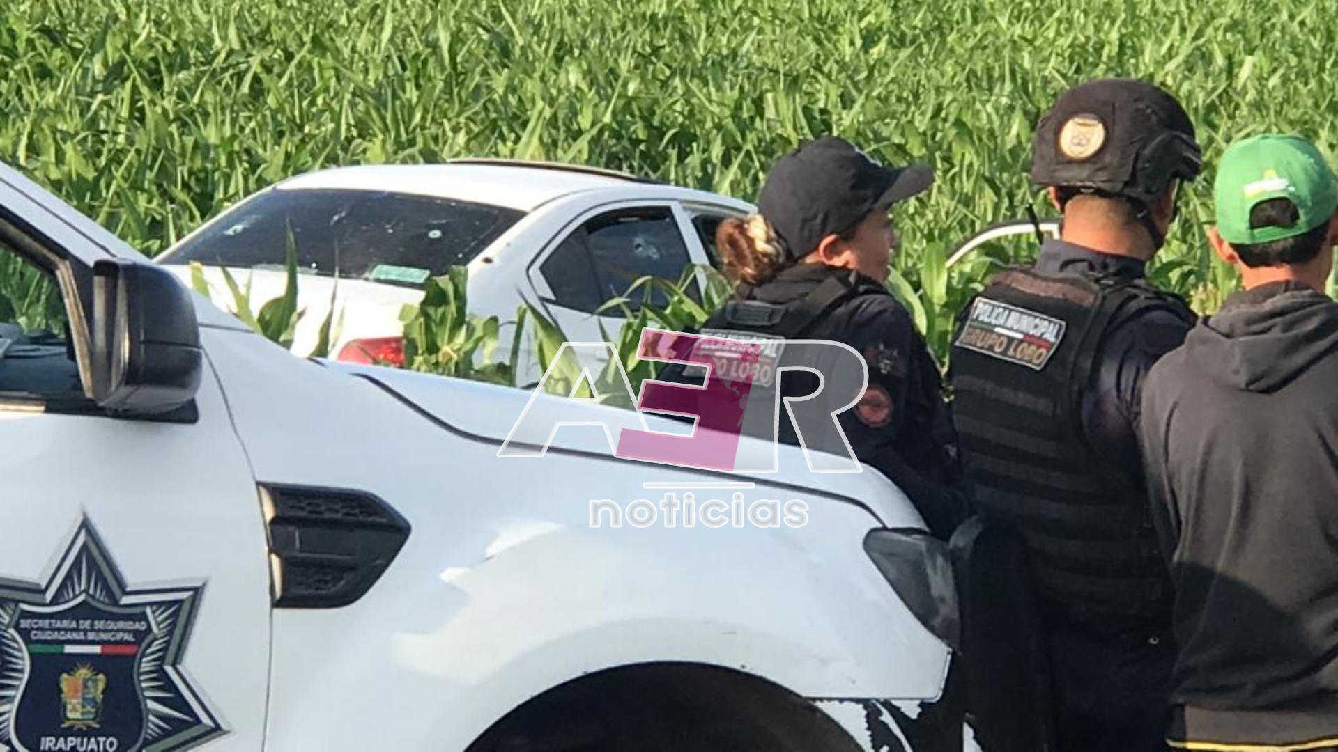 Picsart_23-06-26_19-33-51-178