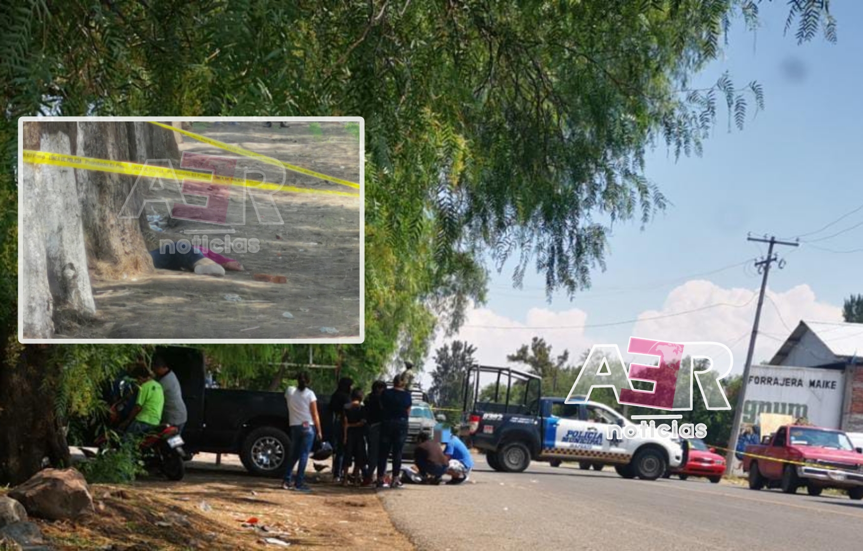 Picsart_23-07-03_16-22-29-357