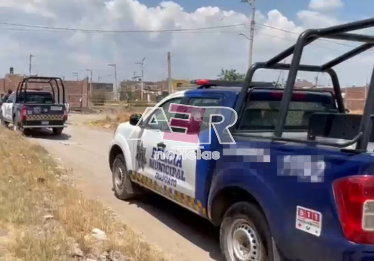 Picsart_23-07-09_14-15-59-043