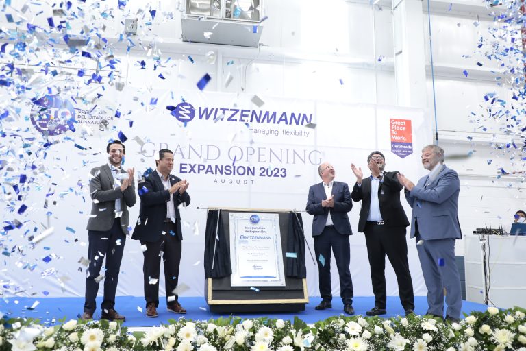 Ampliación Witzenmann (1)