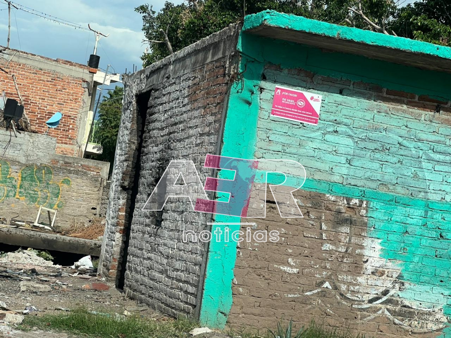 Picsart_23-08-03_17-34-14-581