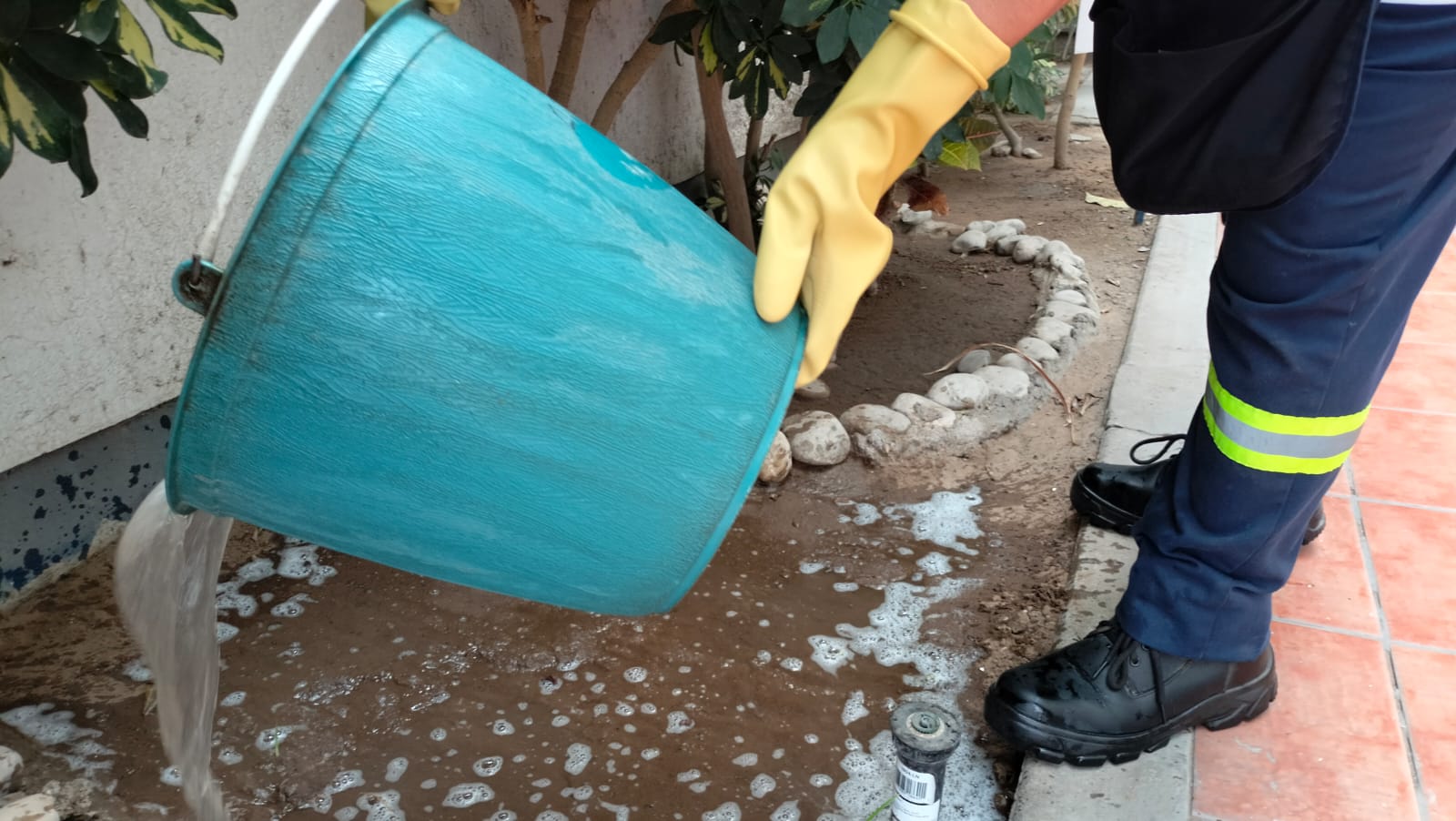 cuidado del agua en vacaciones (5)