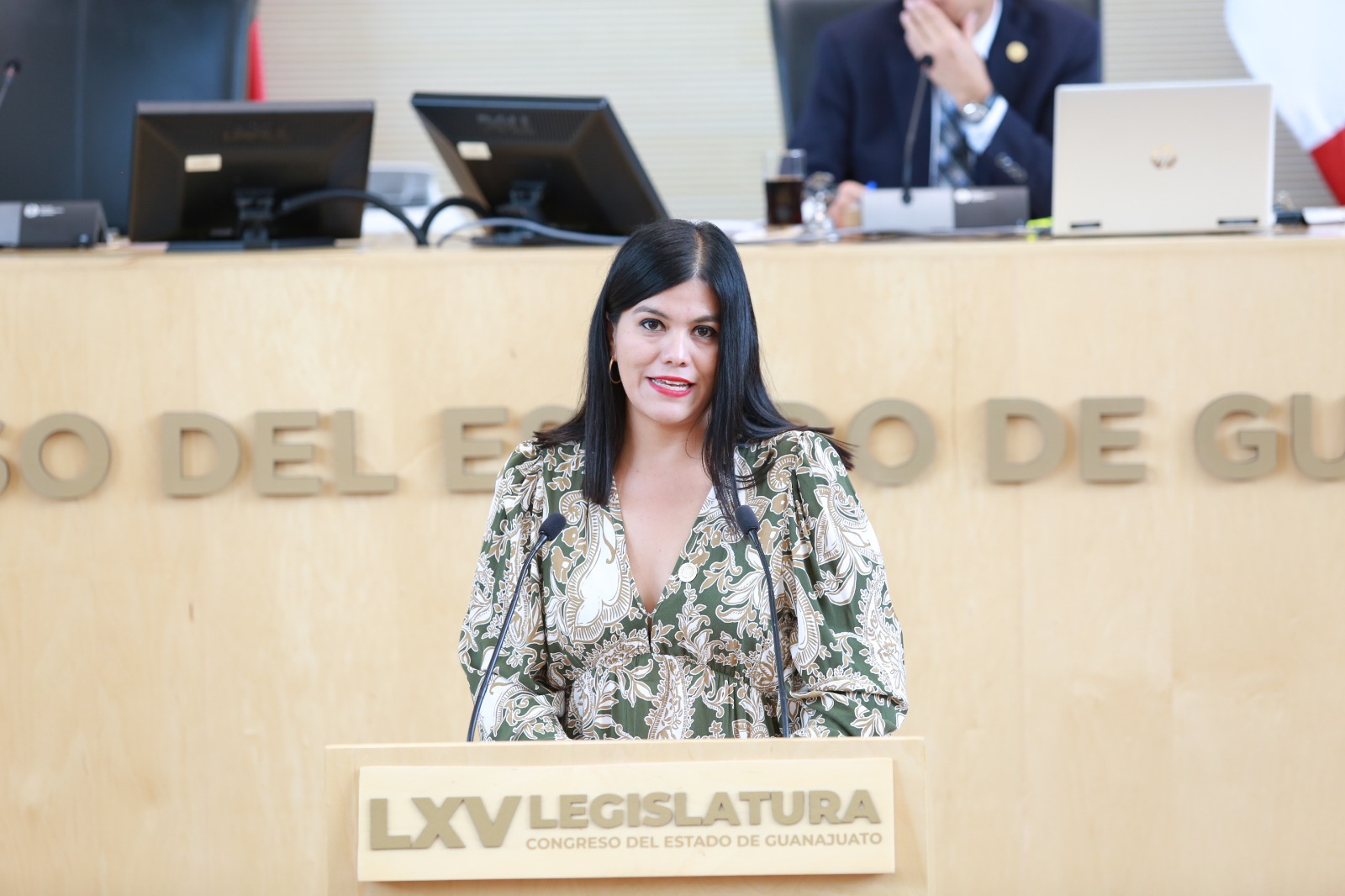 Dip. Lucy Hernández (1)