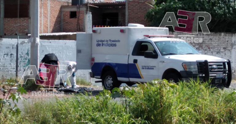 Picsart_23-09-30_19-16-00-948