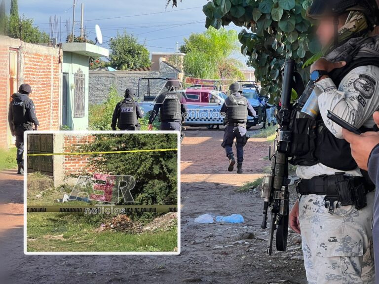 Picsart_23-10-12_09-29-11-239