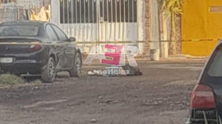 Picsart_23-10-22_09-49-01-319