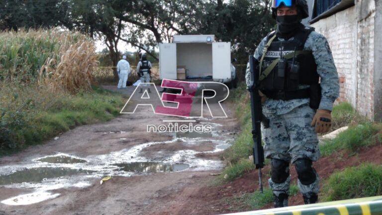 Picsart_23-10-27_18-19-43-727