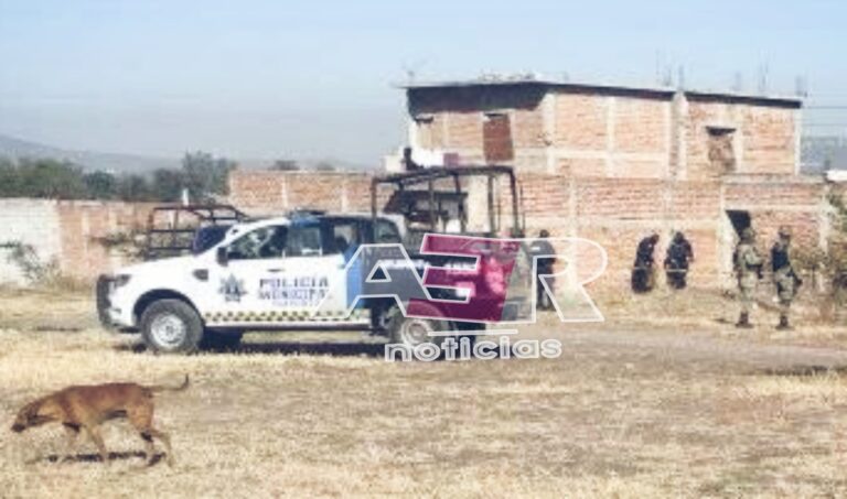 Picsart_23-11-06_09-53-45-420