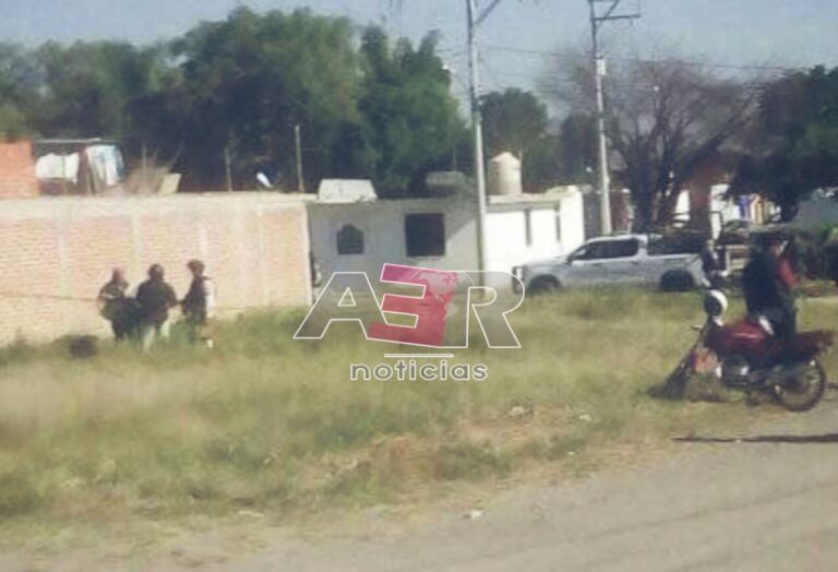 Picsart_23-11-07_11-24-25-792