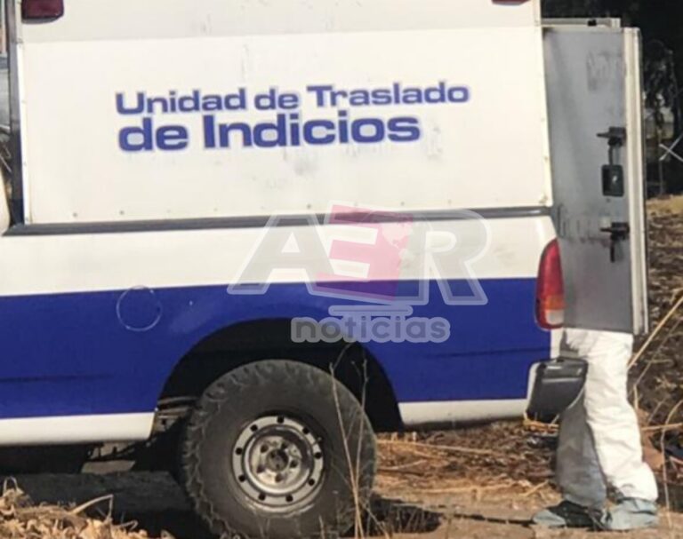 Picsart_23-11-11_10-57-55-600