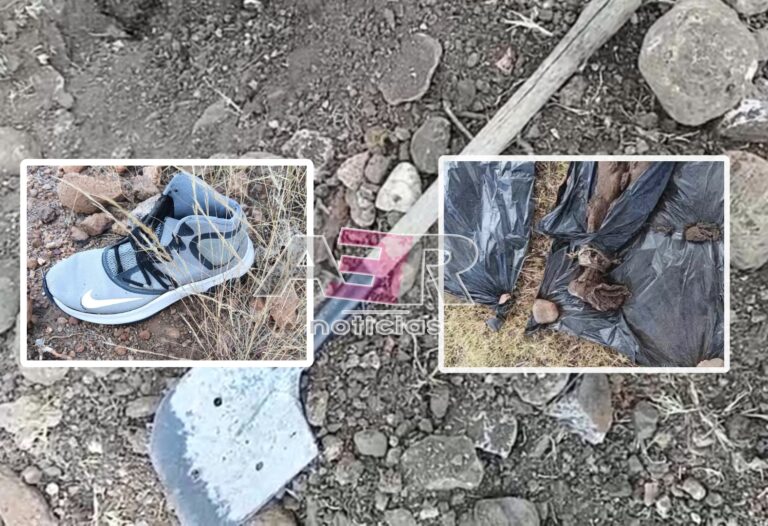 Picsart_23-11-12_17-35-13-703