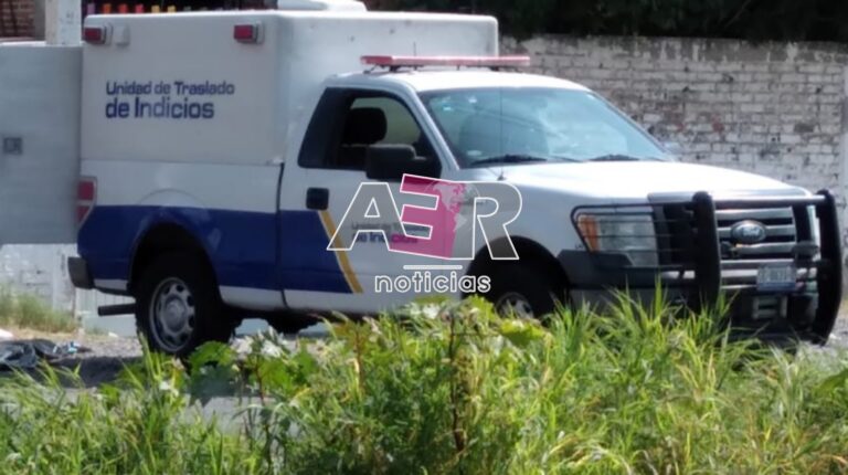 Picsart_23-11-14_11-01-42-837