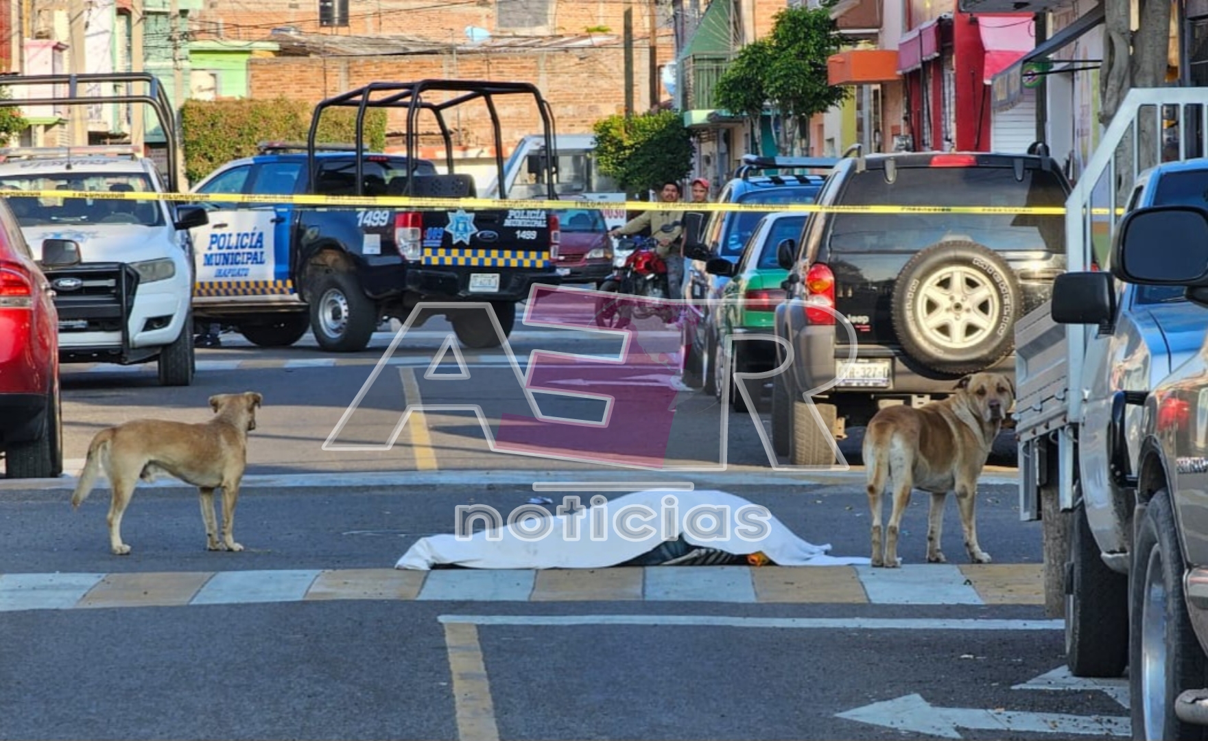 Picsart_23-11-29_08-28-12-255