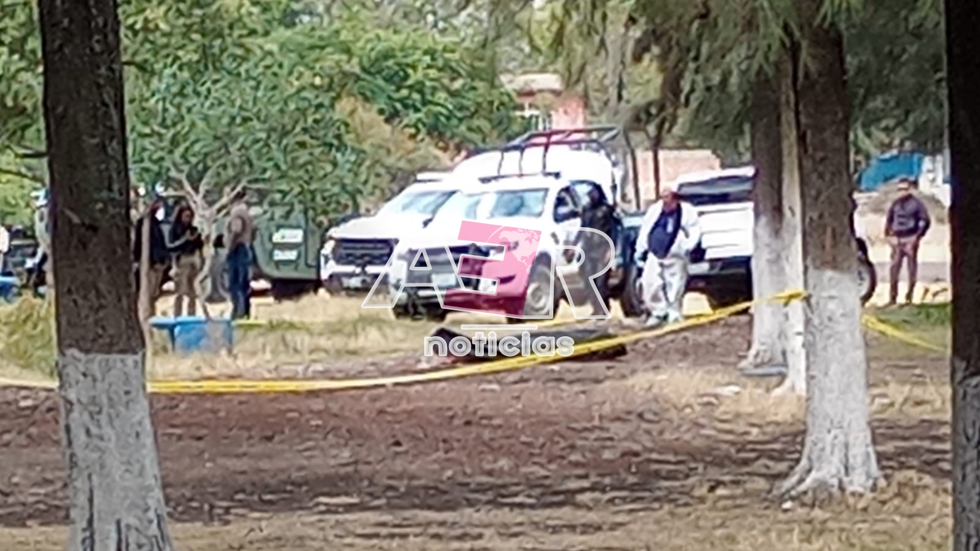 Picsart_23-11-30_20-27-39-191