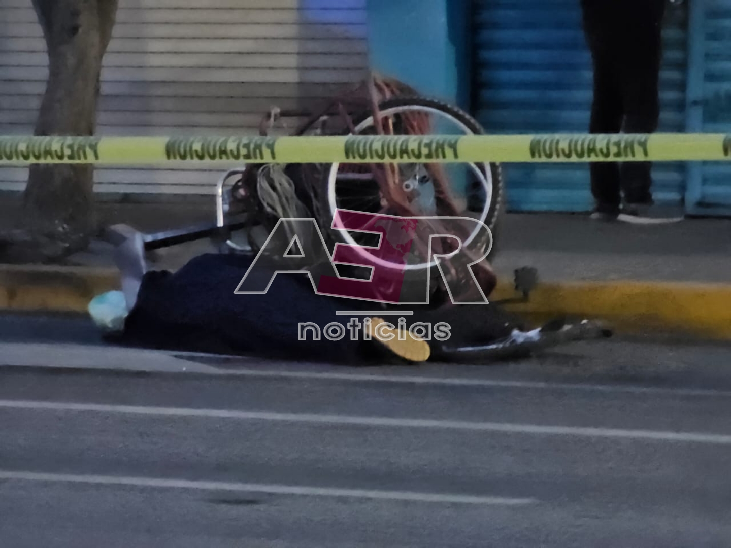 Picsart_23-12-05_18-51-48-439