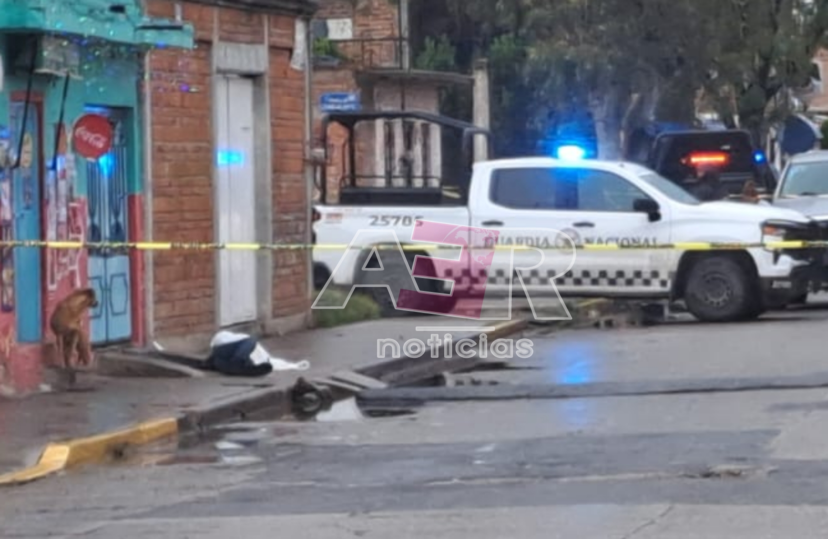 Picsart_23-12-07_20-42-29-295