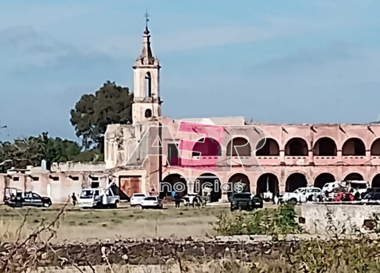 Picsart_23-12-17_12-09-19-579