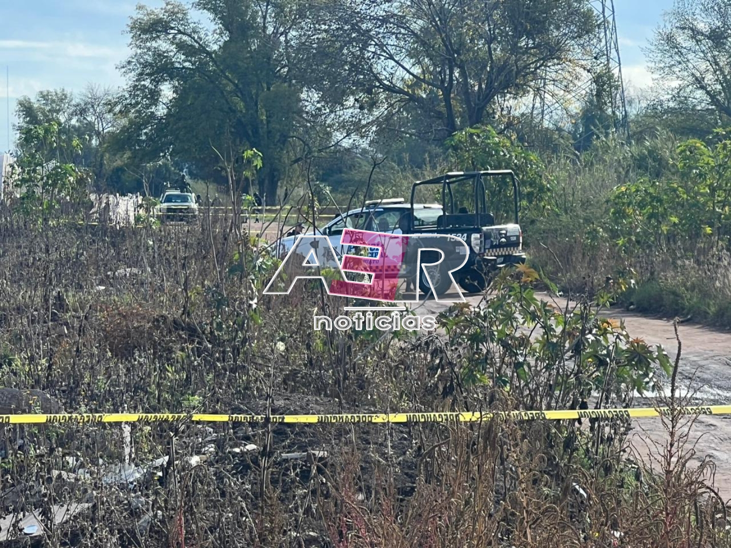 Picsart_23-12-27_19-52-51-718