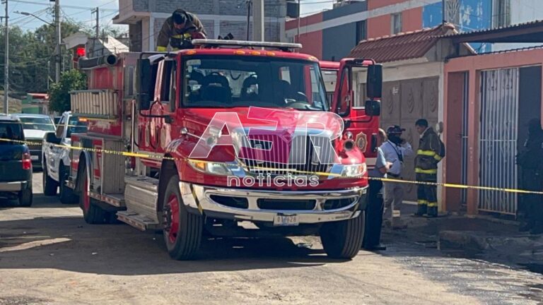 Picsart_23-12-29_13-01-54-889