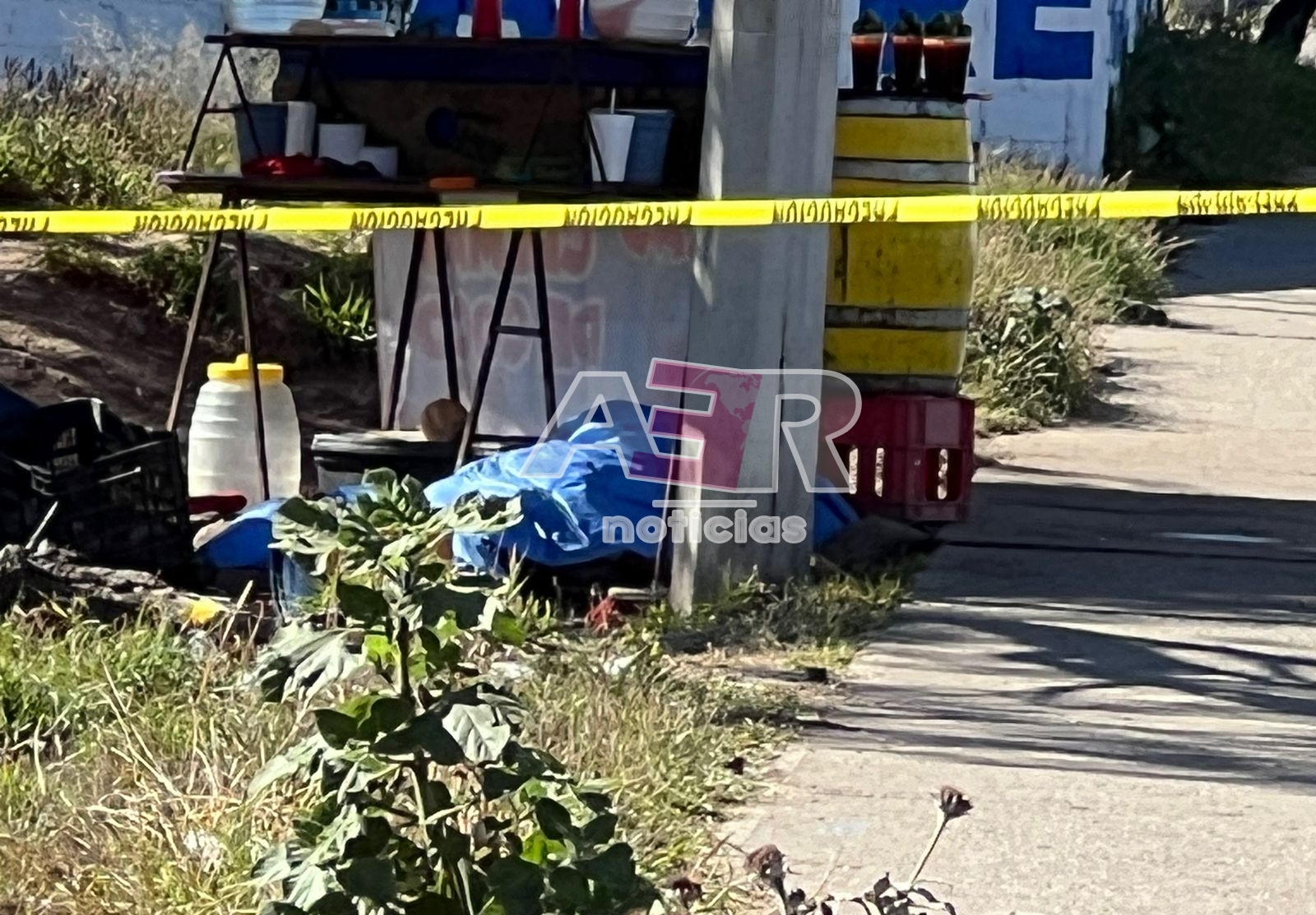 Picsart_24-01-04_16-27-13-394