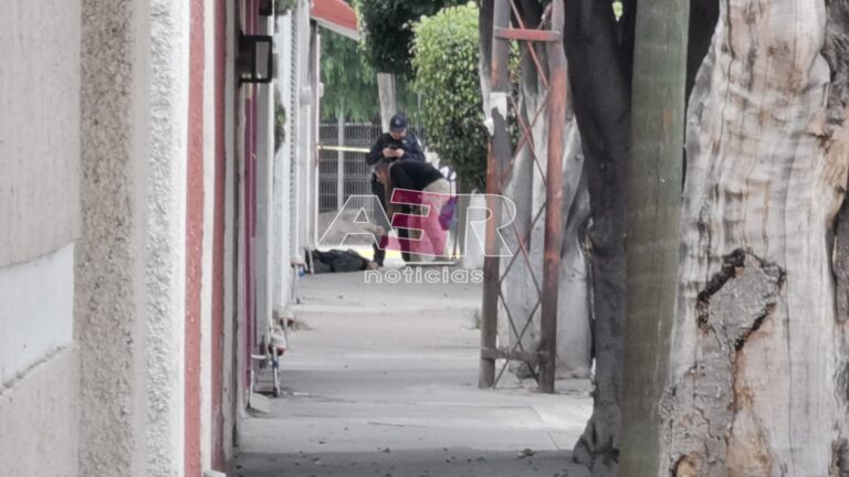 Picsart_24-01-11_14-45-37-750