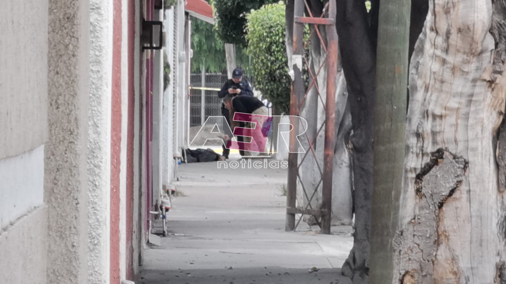 Picsart_24-01-11_14-45-37-750