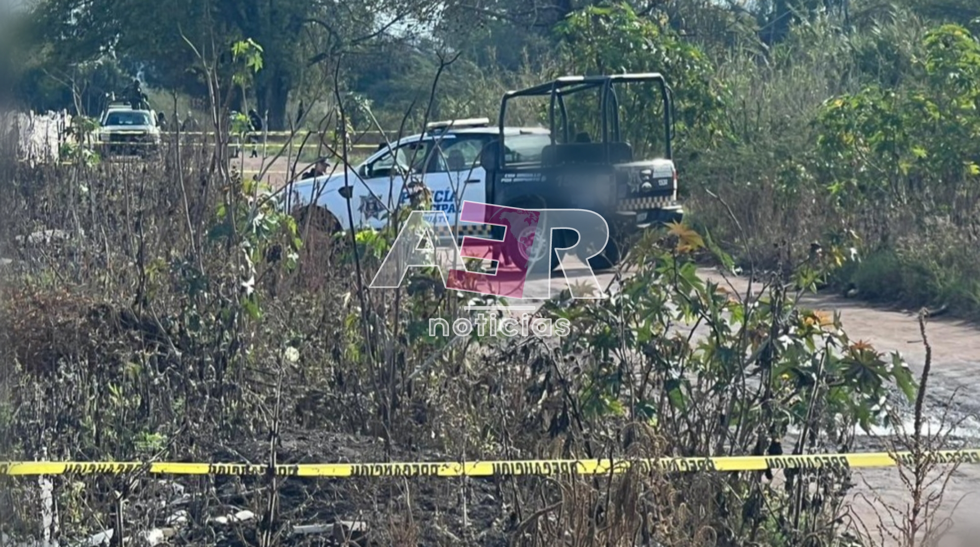 Picsart_24-01-14_12-32-27-712