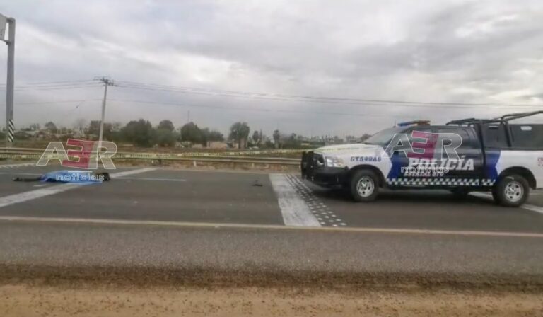 Picsart_24-01-18_12-16-41-608