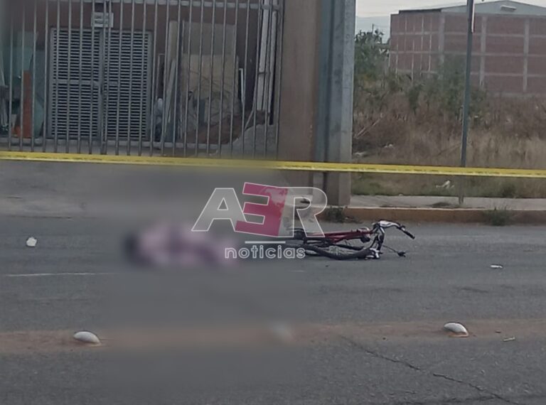 Picsart_24-01-22_18-31-29-250