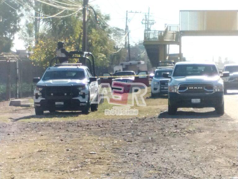 Picsart_24-02-04_11-36-30-489