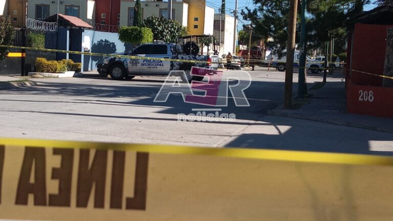 Picsart_24-02-20_11-58-47-093