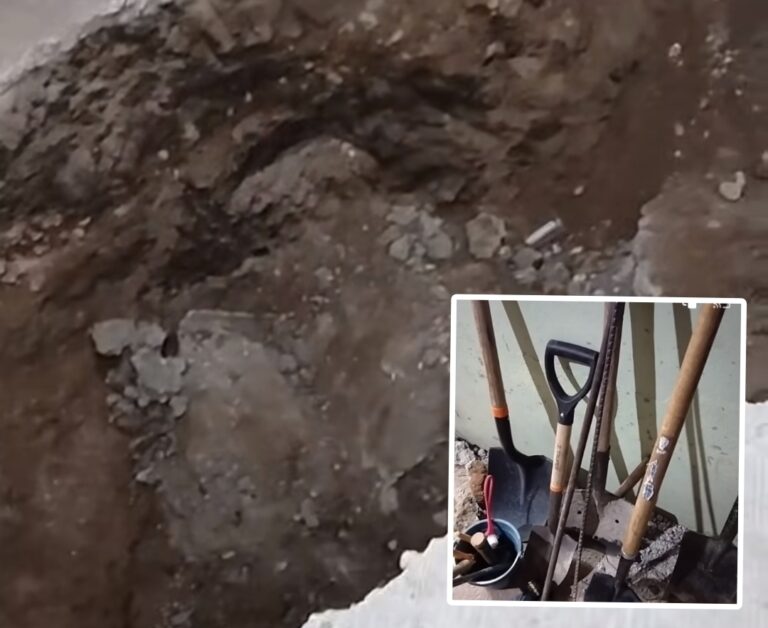 Picsart_24-02-27_13-37-13-716