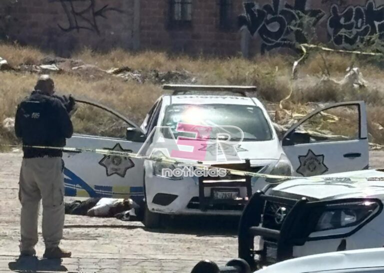 Picsart_24-03-03_14-52-58-213